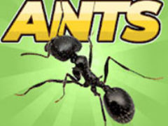 Pocket Ants: Симулятор Колонии